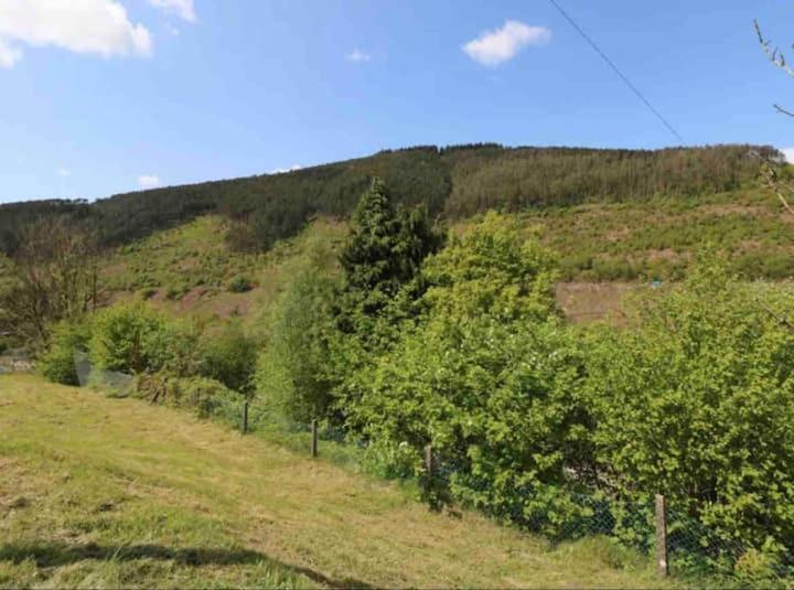 Afan House Villa Pontrhydyfen Eksteriør billede